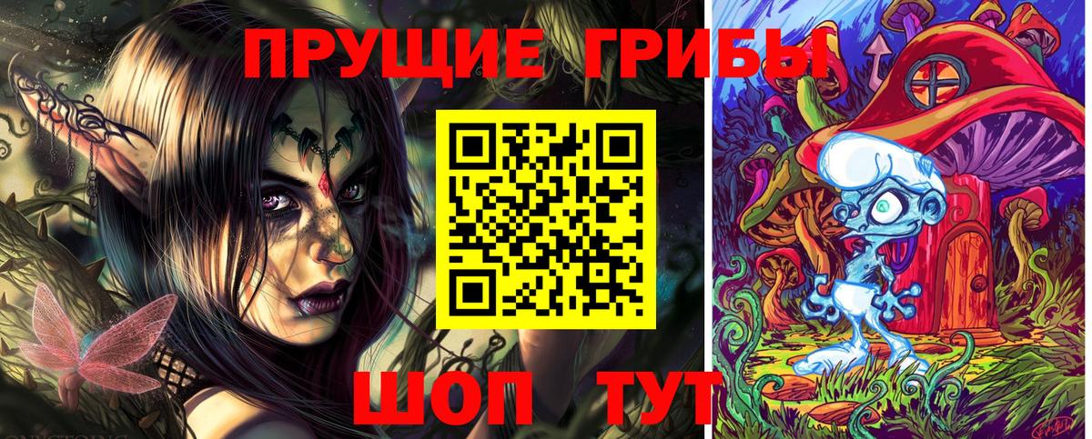 Галлюциногенные грибы прущие грибы  Вход с VPN  Тавда 